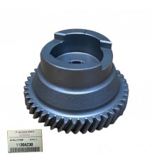 Koło rozrządu pompy...